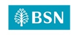 BSN logo iTrainingExpert training provider client