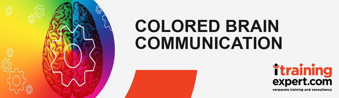 Colored Brain Communication for Leaders; Lead, Drive and Inspire Your Team