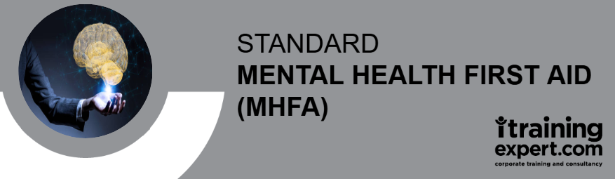 Standard Mental Health First Aid (MHFA) 