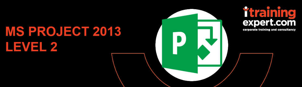 MS Project 2013 - Level 2