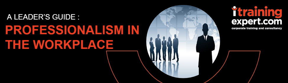 Professionalism in the Workplace: A Leaders Guide